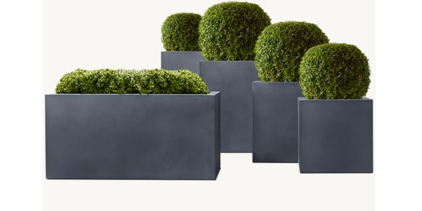 Flower Pot