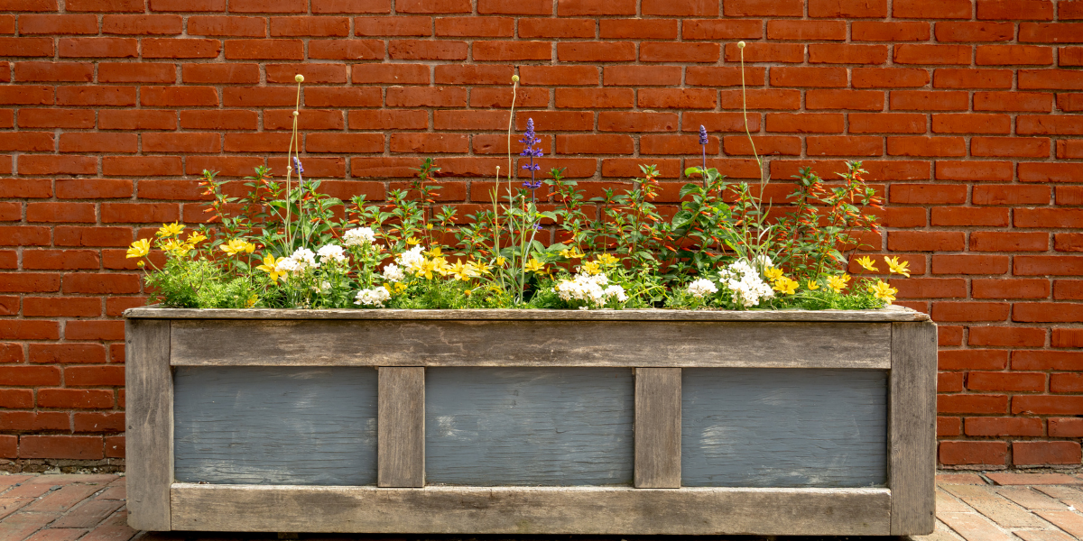Best Materials for Commercial-Grade Outdoor Planters