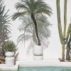 Modern Concrete Round Outdoor Planters KM9008