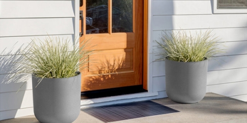 Flower Pot