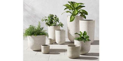 Flower Pot